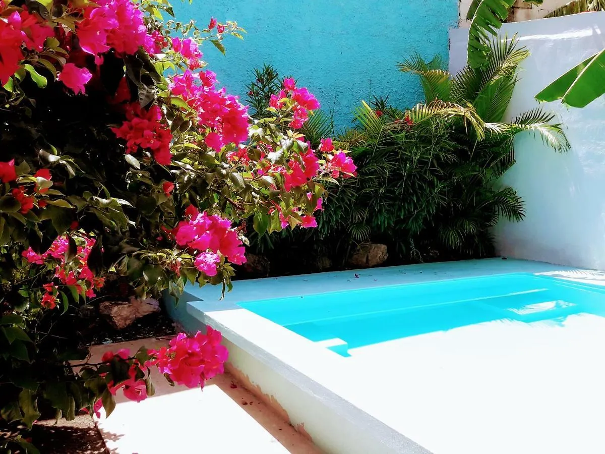 Casa Bugambilias 44 Hotel Merida