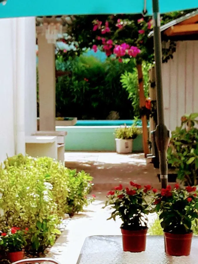 Casa Bugambilias 44 Hotel Merida Mexico